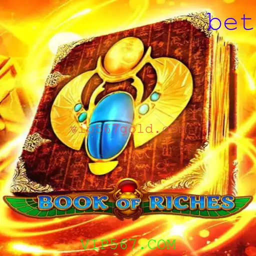 Descubra o Mundo Envolvente do Jogo BookofRiches com VIP567.COM