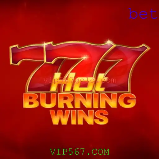 Explorando o Fascinante Mundo de HotBurningWins: Um Guia Completo